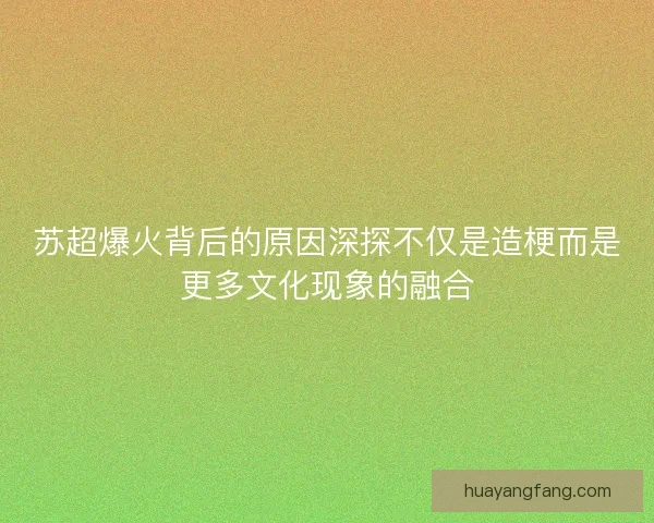 苏超爆火背后的原因深探不仅是造梗而是更多文化现象的融合